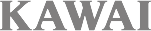 桃 園電鋼琴