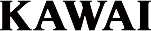 桃 園電鋼琴